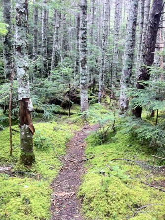 20110823-IMG_1310.jpg