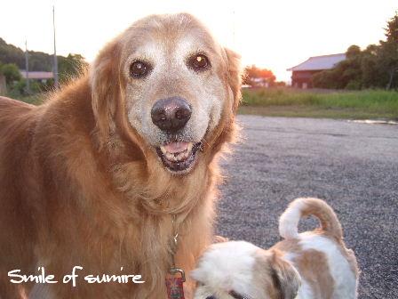 Smile of sumire.JPG