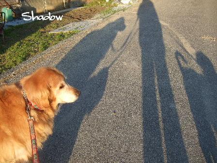 Shadow.JPG