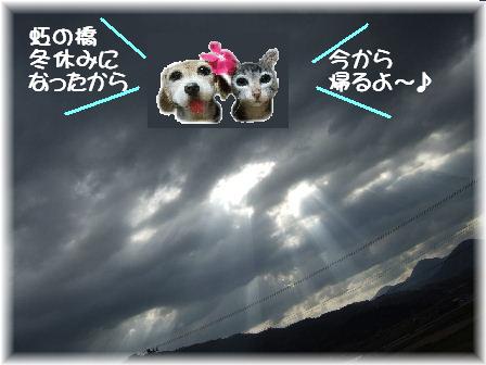 虹の橋の冬休み.JPG