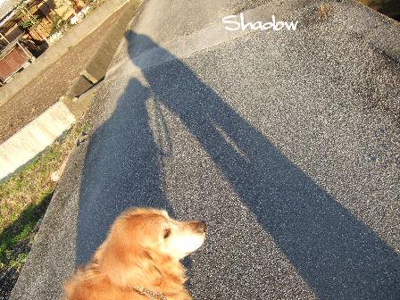 Shadow1.JPG