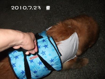 1 2010.7.23 菫.JPG