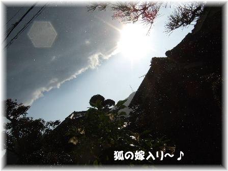 狐の嫁入り1.JPG