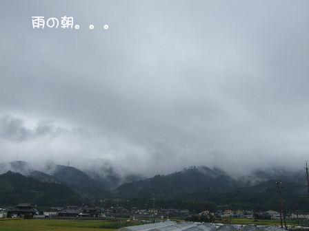 雨の朝.JPG