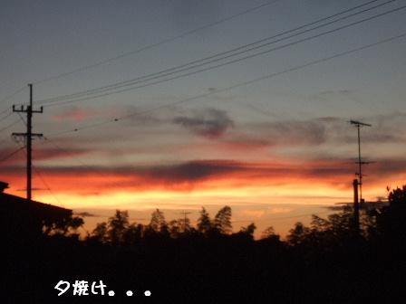 夕焼け.JPG
