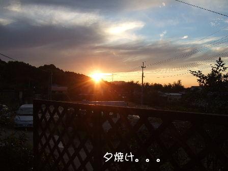 夕焼け2.JPG