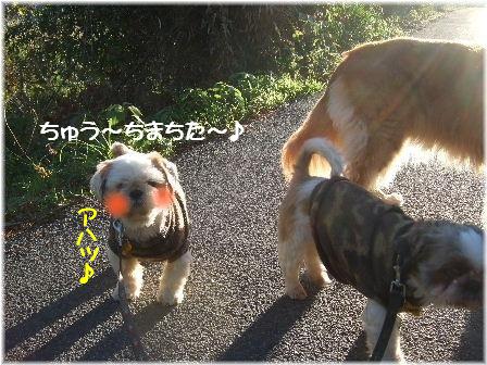空ちゃん.JPG