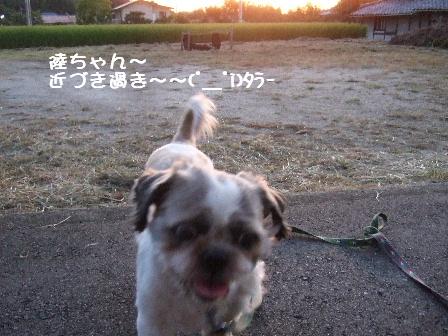 陸ちゃん.JPG