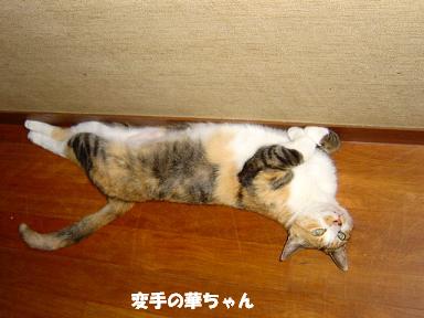 20071003201531.jpg