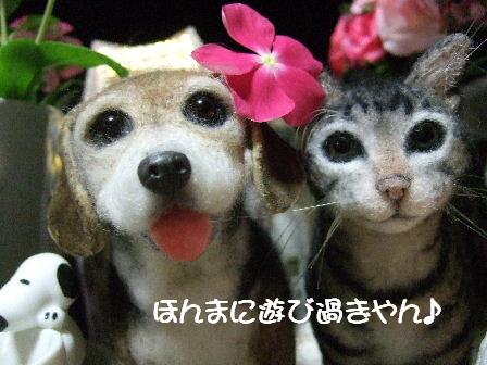 ももちゃんと嵐.JPG