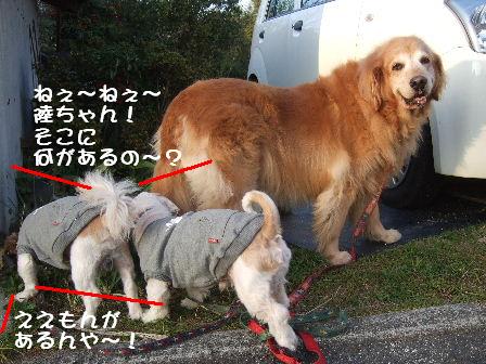 何があるの?.JPG