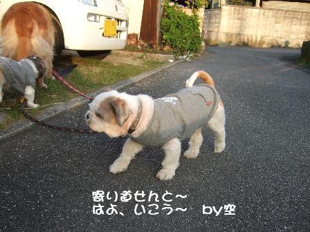 寄り道.JPG