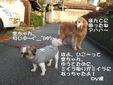 匂い中.JPG