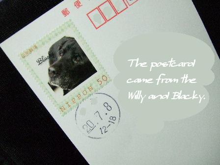 The postcard came from the Willy and Blacky..JPG