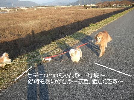 散歩1.JPG