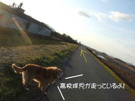 菫2.JPG