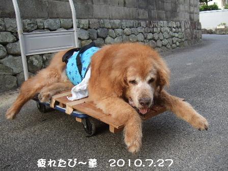 疲れたび~.JPG