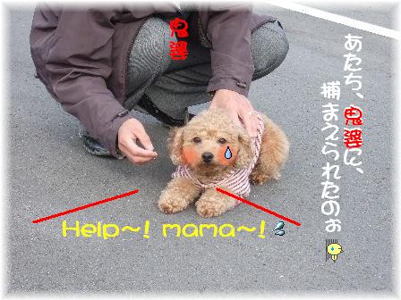 Help.JPG