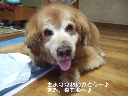 また来てね.JPG