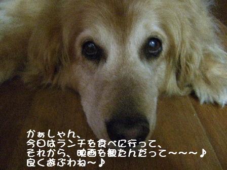 菫1.JPG
