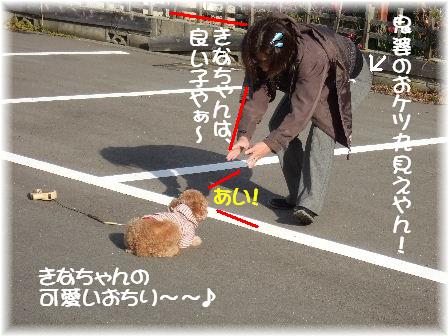 可愛い.JPG