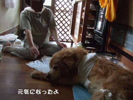 元気になったよ.JPG