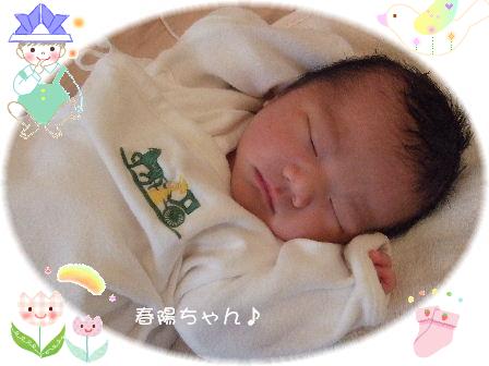 春陽ちゃん3.JPG
