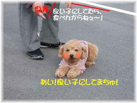 良い子.JPG