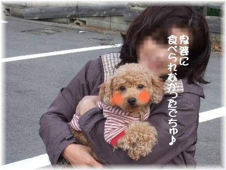 良い子でした.JPG