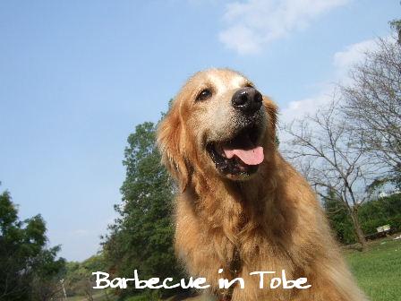 Barbecue in Tobe7.JPG