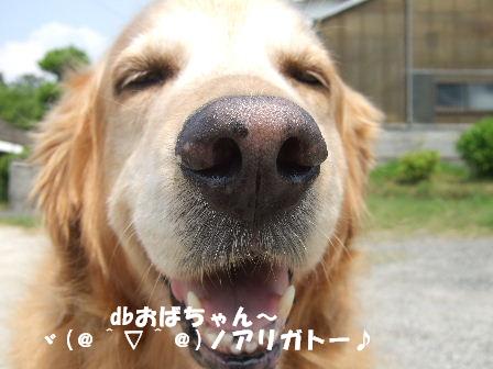 ありがとう.JPG