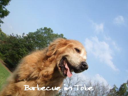 Barbecue in Tobe8.JPG