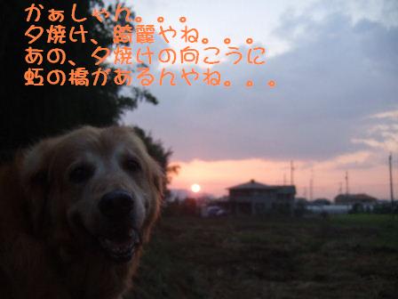 夕焼け.JPG