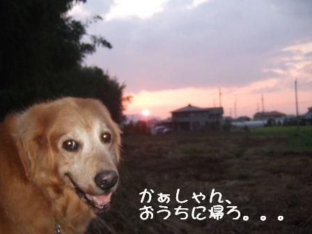 夕焼け1.JPG