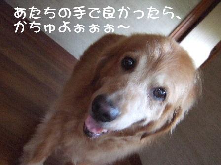 菫ちゃん.JPG