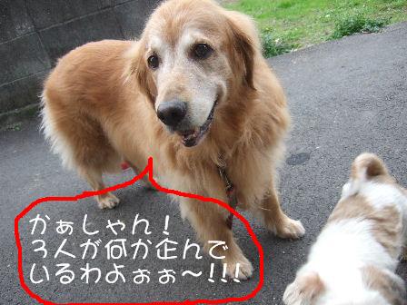 たくらみ.JPG