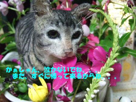 泣く.JPG