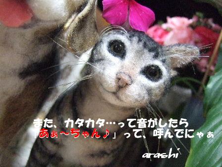 呼んでにゃ.JPG