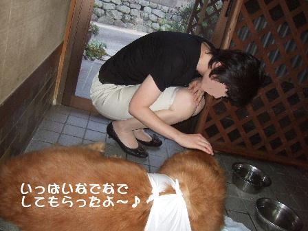 まッハママと菫.JPG