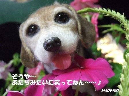 笑って.JPG