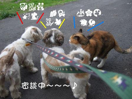 密談中.JPG