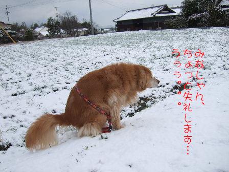 ちょっと失礼.JPG