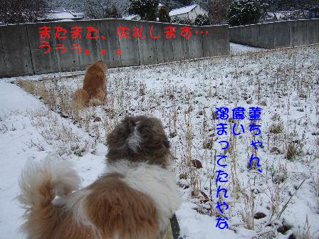 またまた失礼.JPG