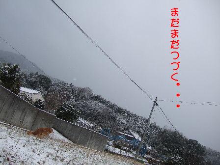 まだまだつづく.JPG