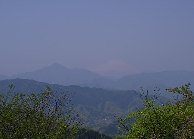 09春高尾山０１６.JPG