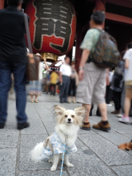 雷門