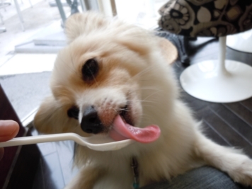 うまうま中・・・