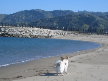 初めての海