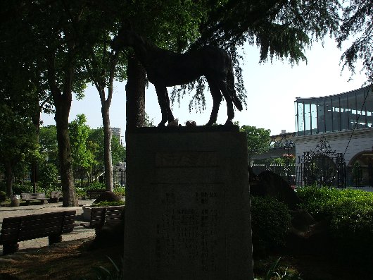 トキノミノル 軍師のお散歩日記 楽天ブログ