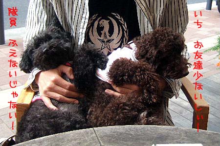 2007_0504GW0080a コピー.JPG